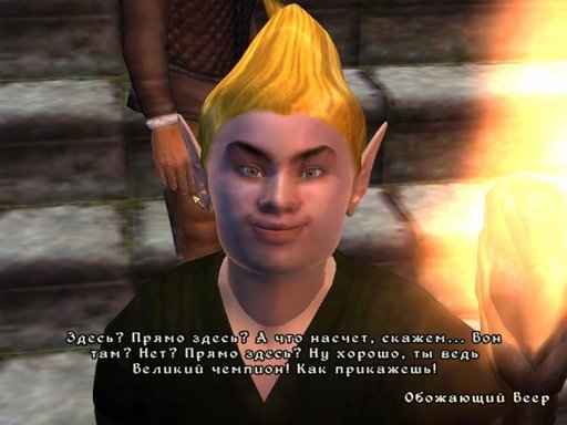 Elder Scrolls IV: Oblivion, The - Скриншоты - смешные, забавные, веселые.